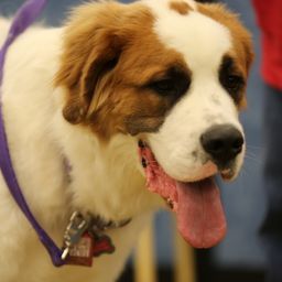 photograph by PeterW